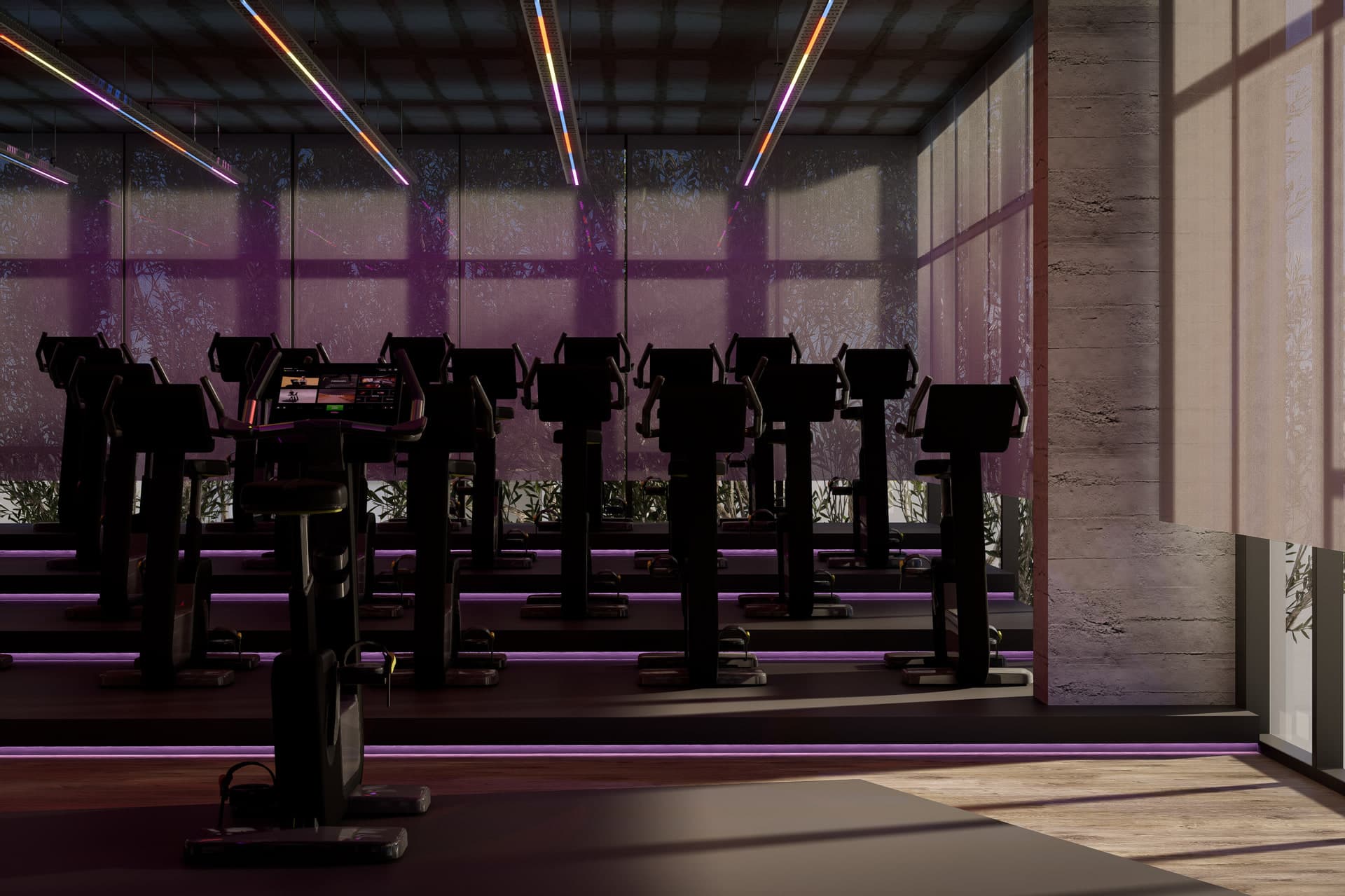 Panax Pro Gym