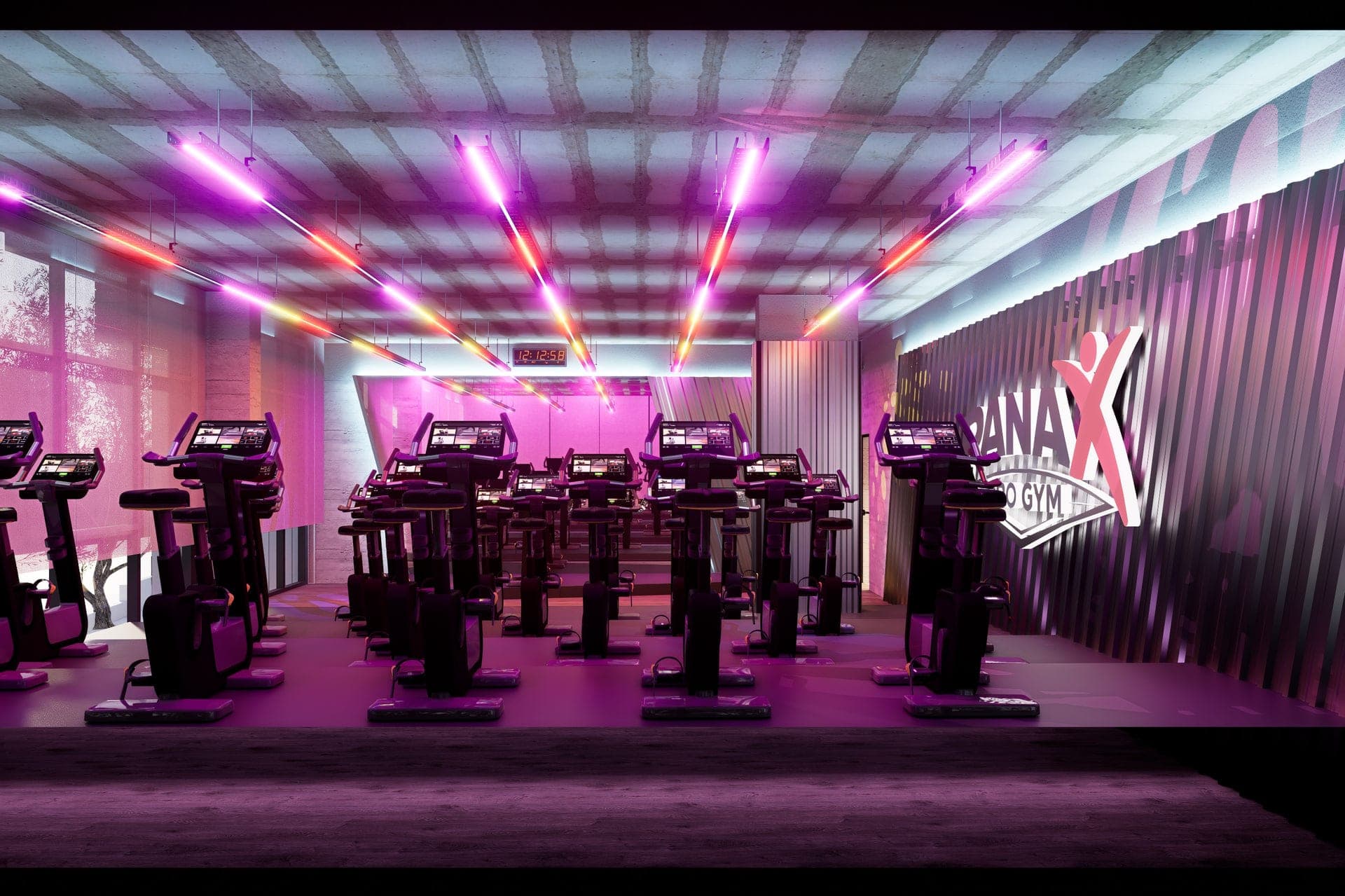 Panax Pro Gym