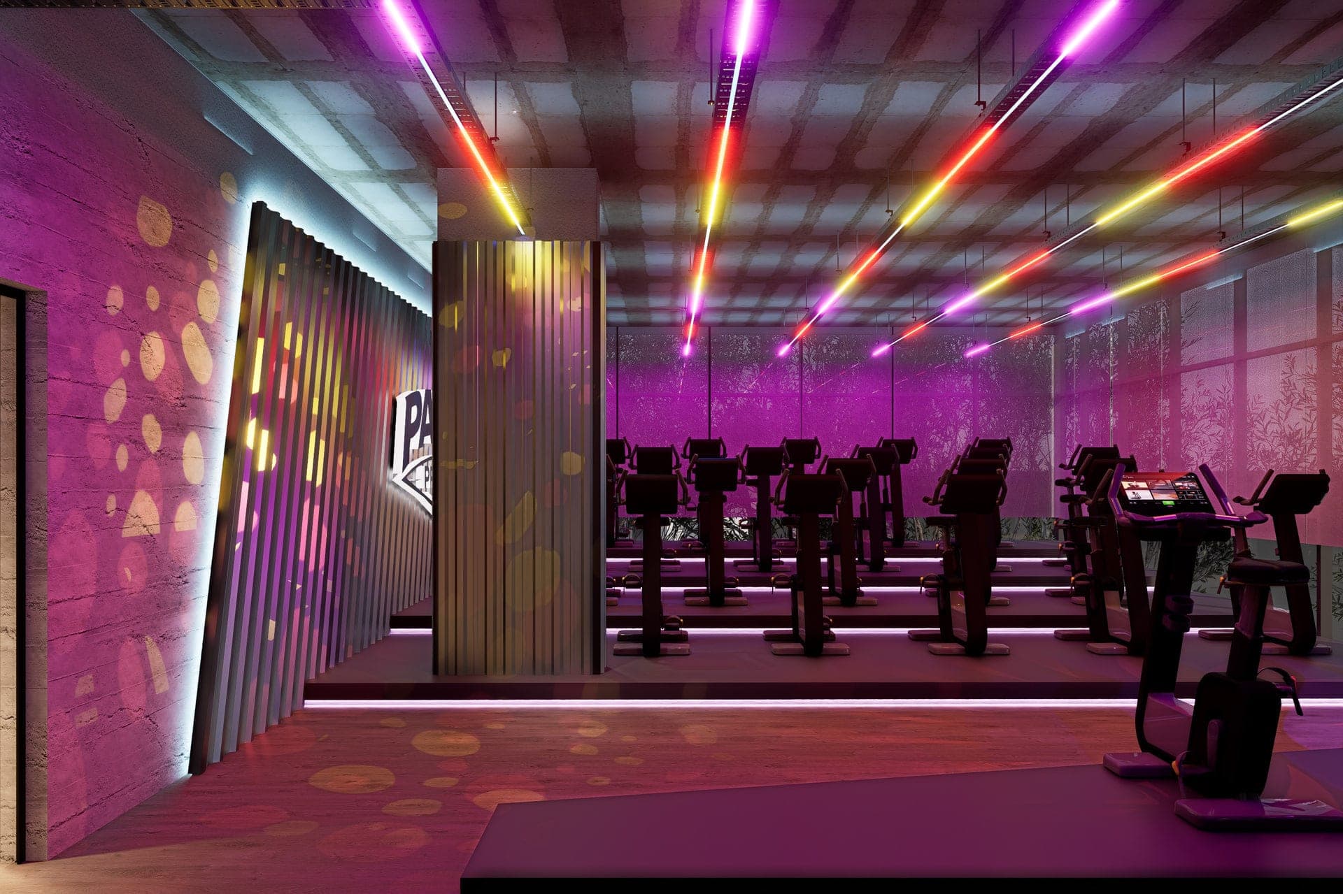 Panax Pro Gym