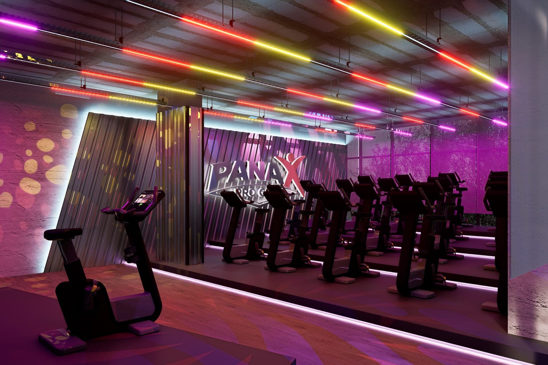 Panax Pro Gym