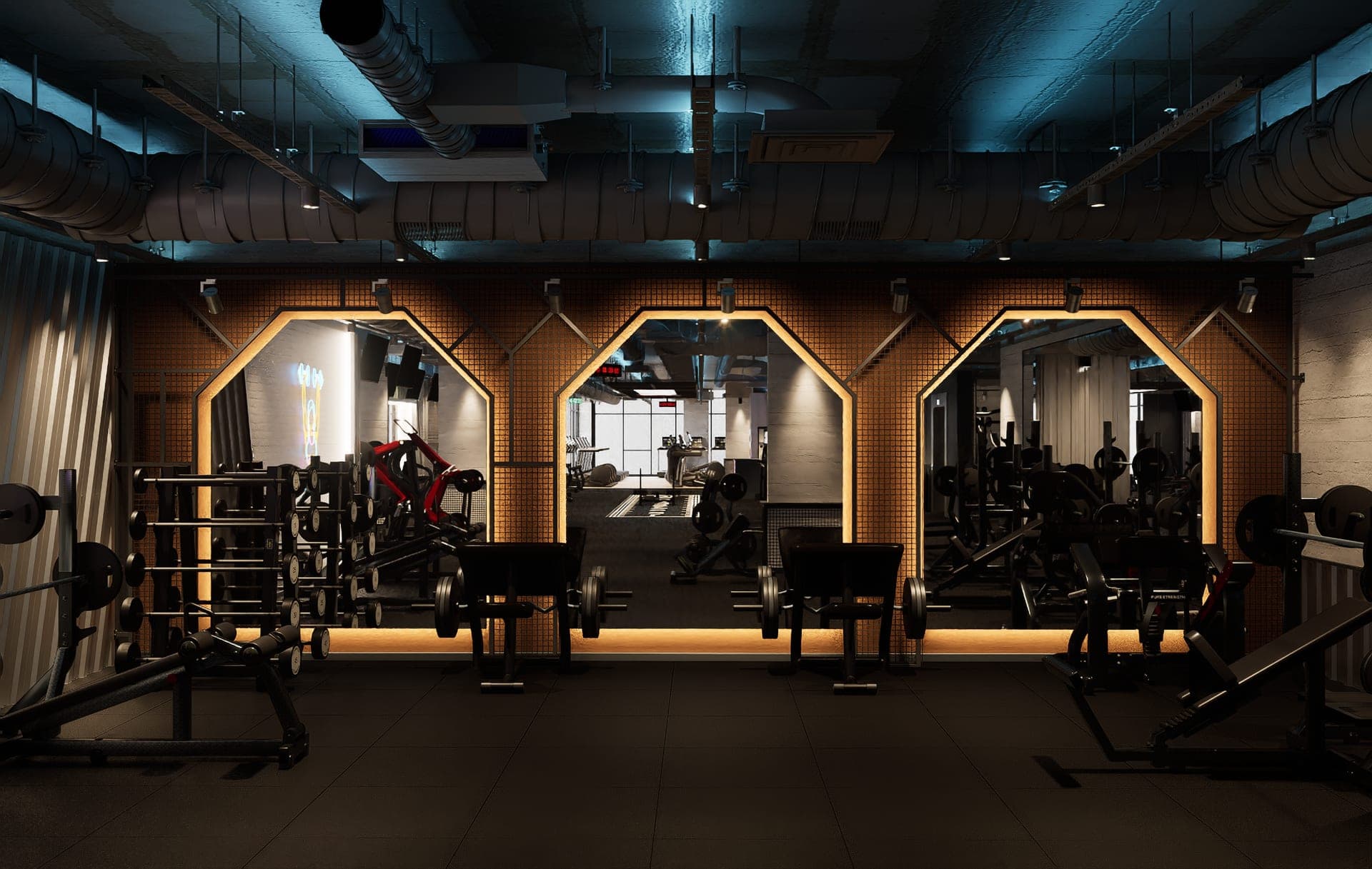 Panax Pro Gym — 45