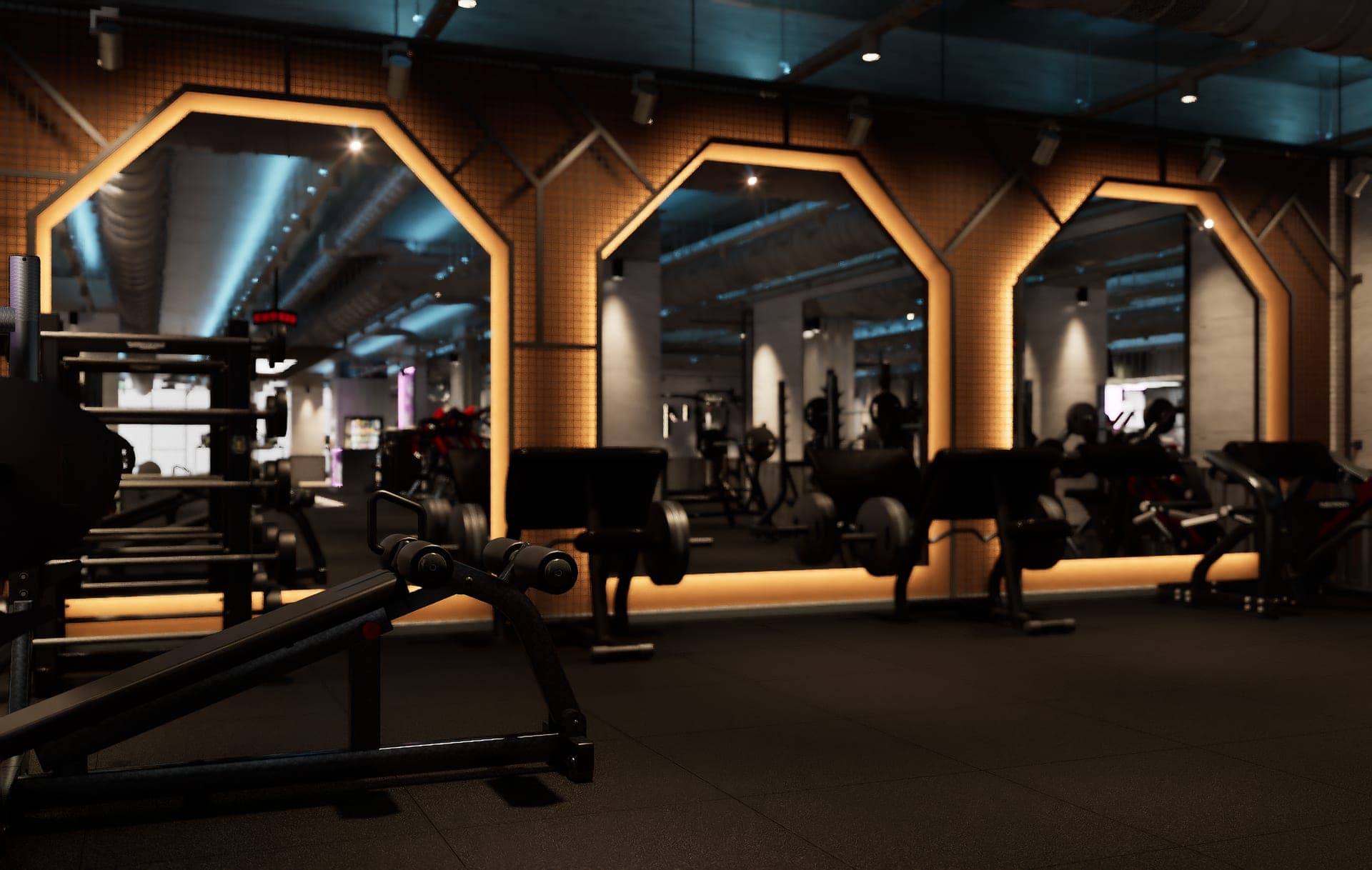 Panax Pro Gym — 46