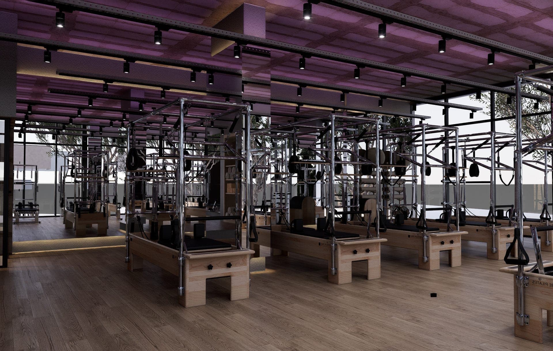 Panax Pro Gym — 80