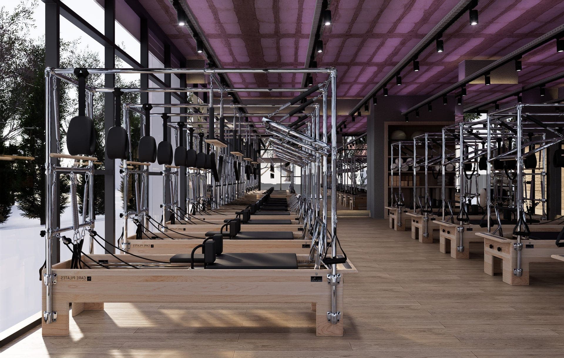 Panax Pro Gym — 81