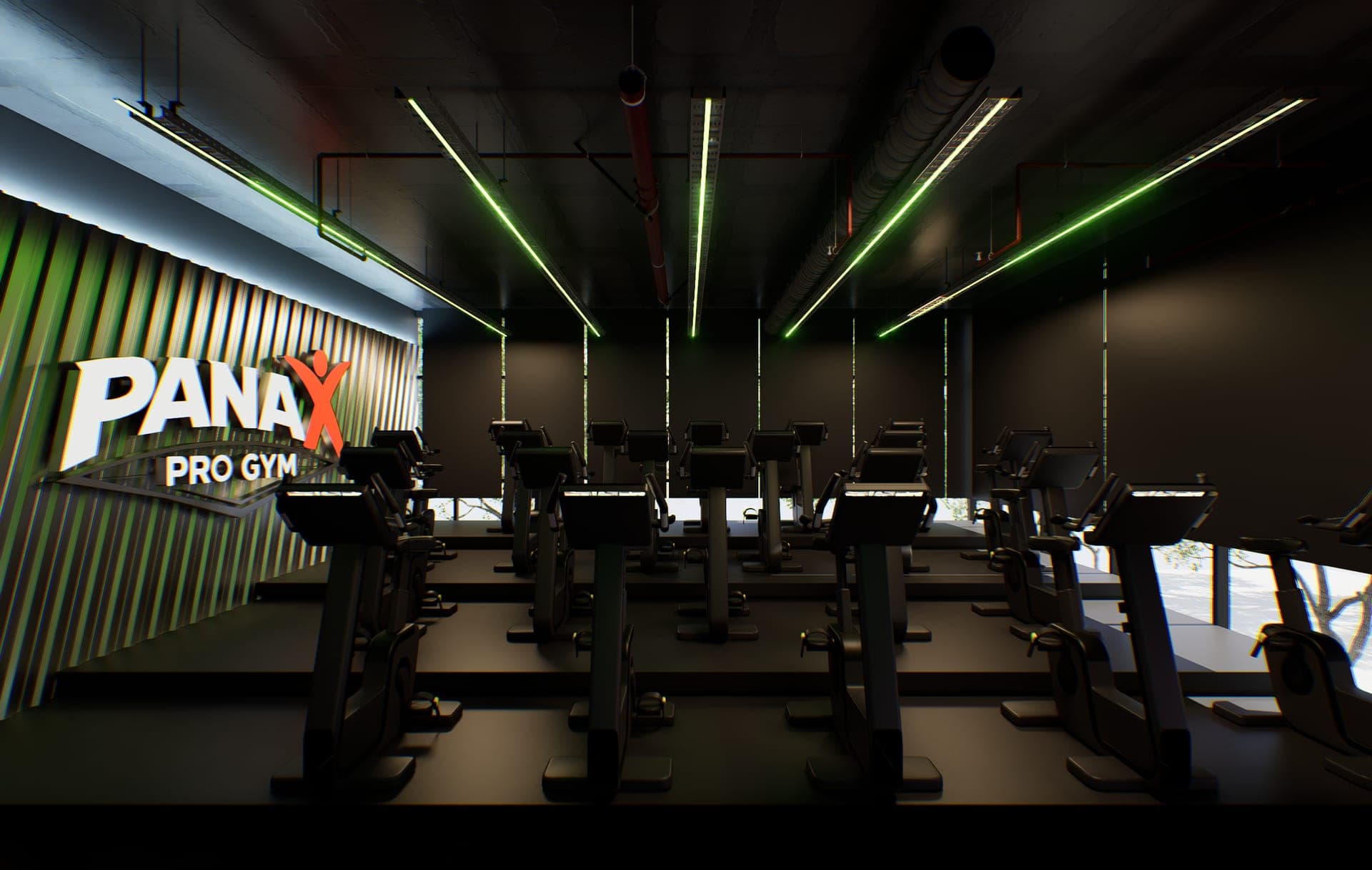 Panax Pro Gym — 82