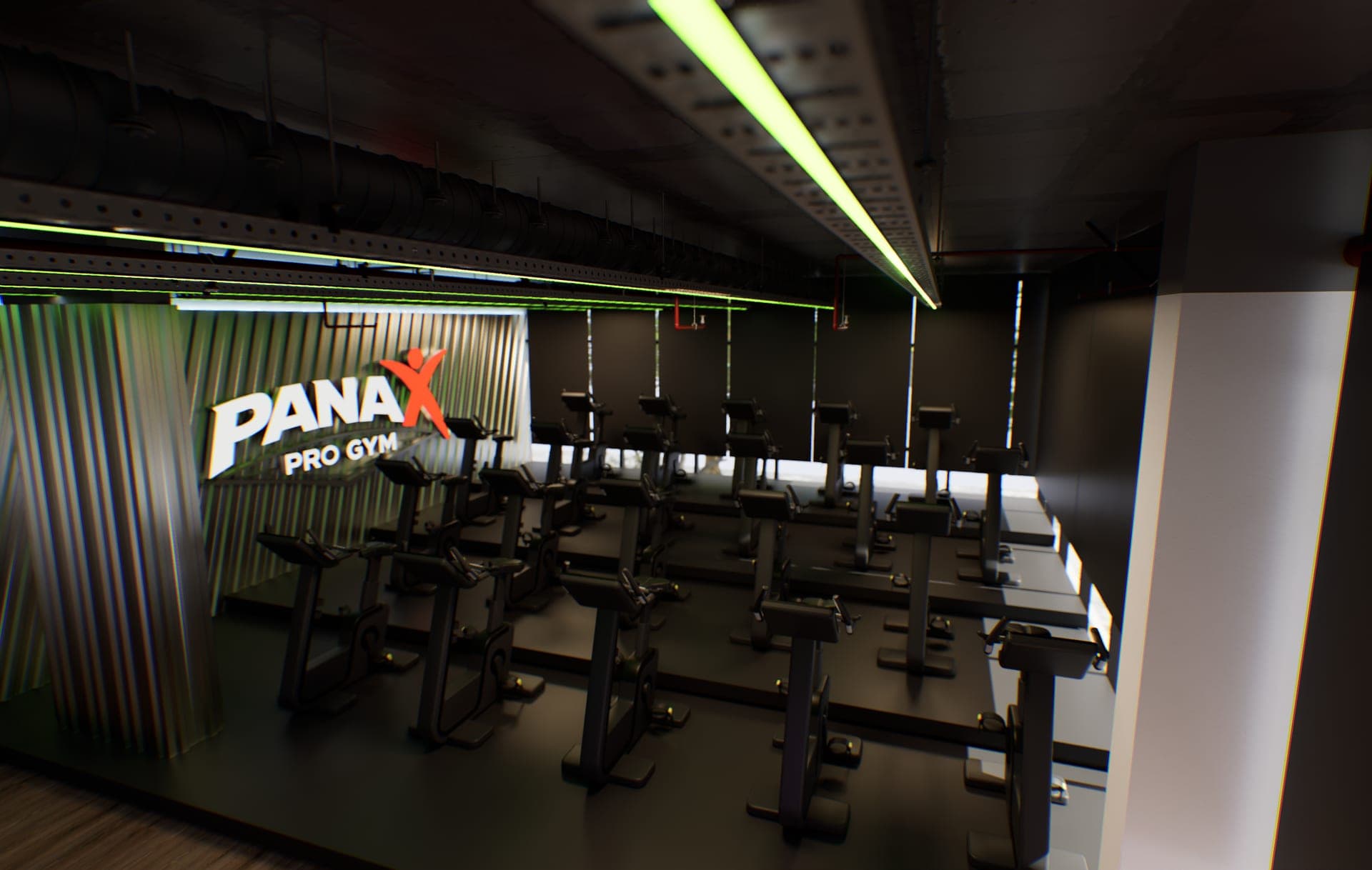 Panax Pro Gym — 85