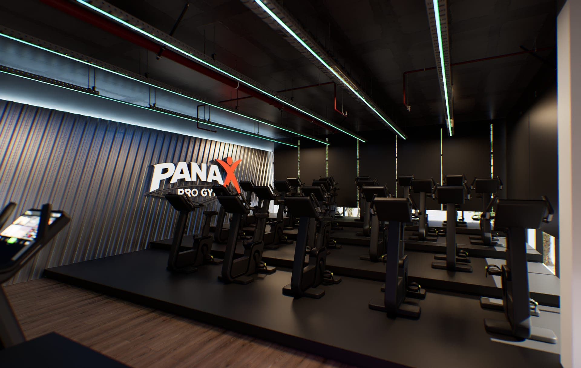Panax Pro Gym — 86