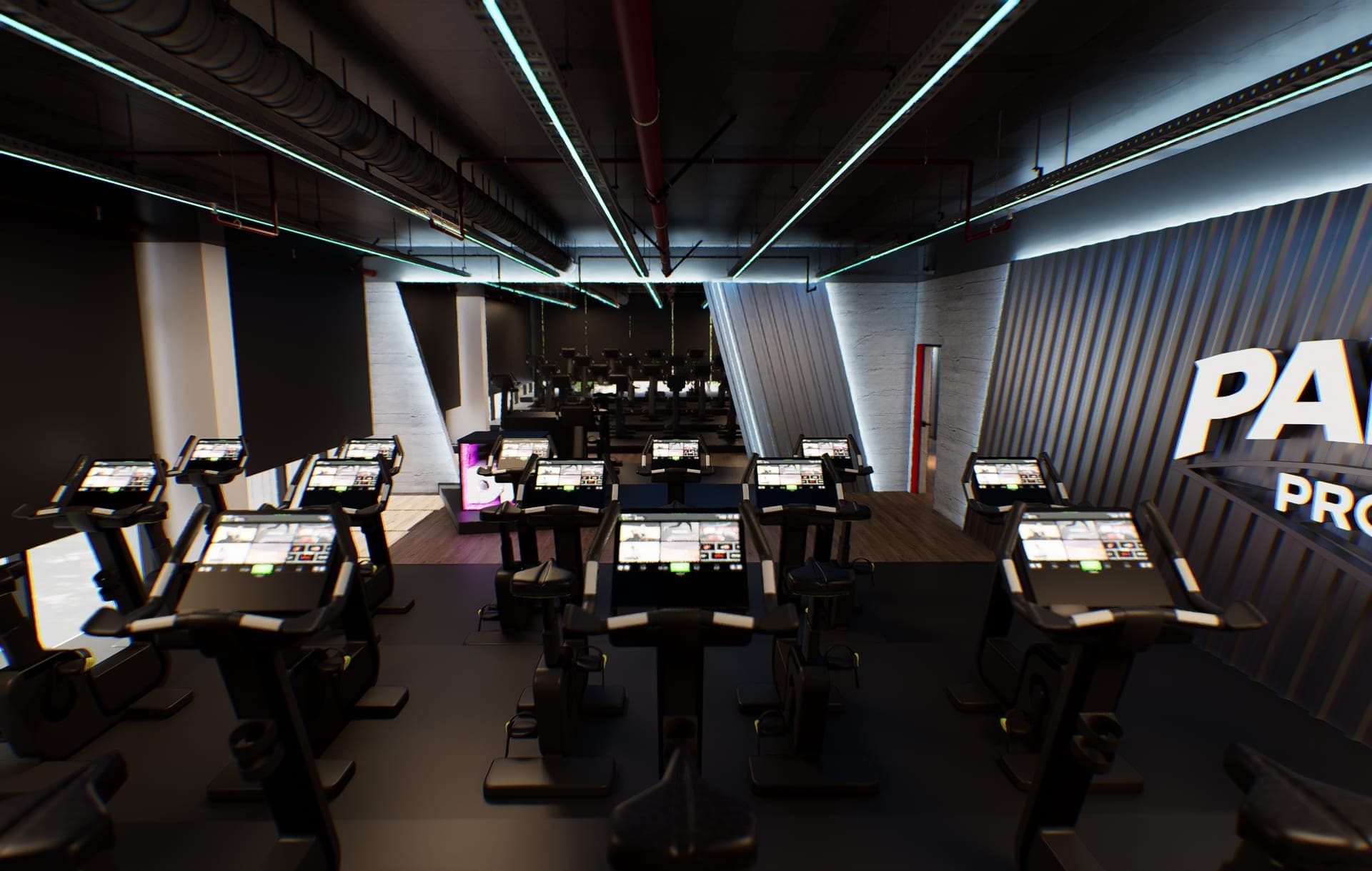Panax Pro Gym — 87