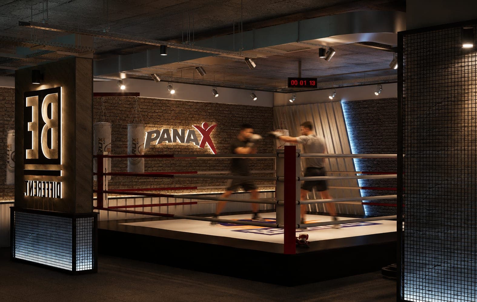 Panax Pro Gym — 100