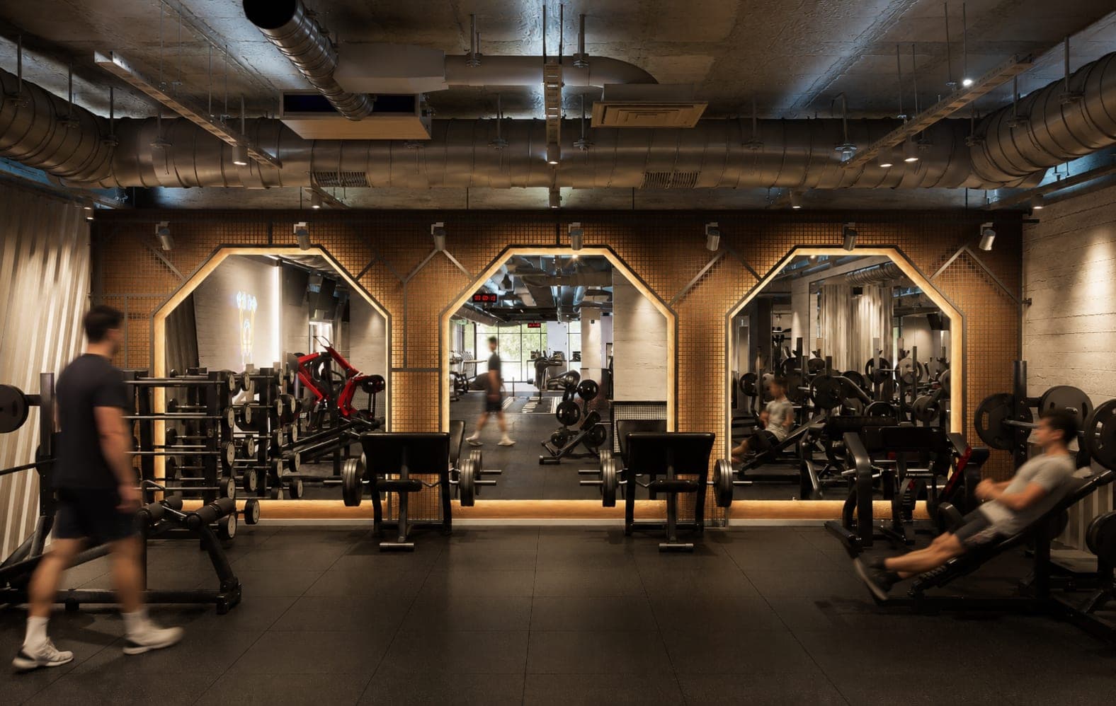 Panax Pro Gym — 101