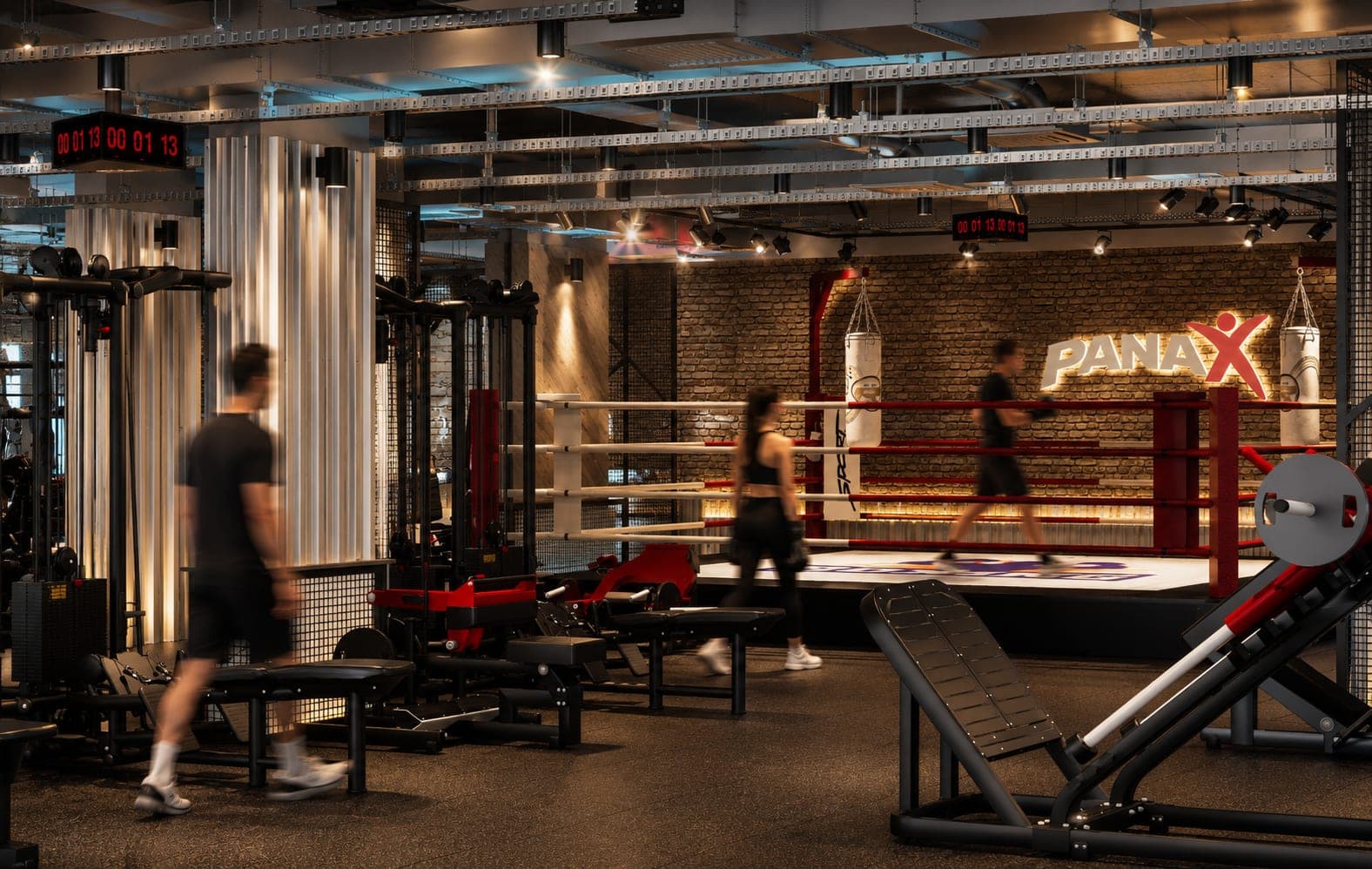 Panax Pro Gym — 104