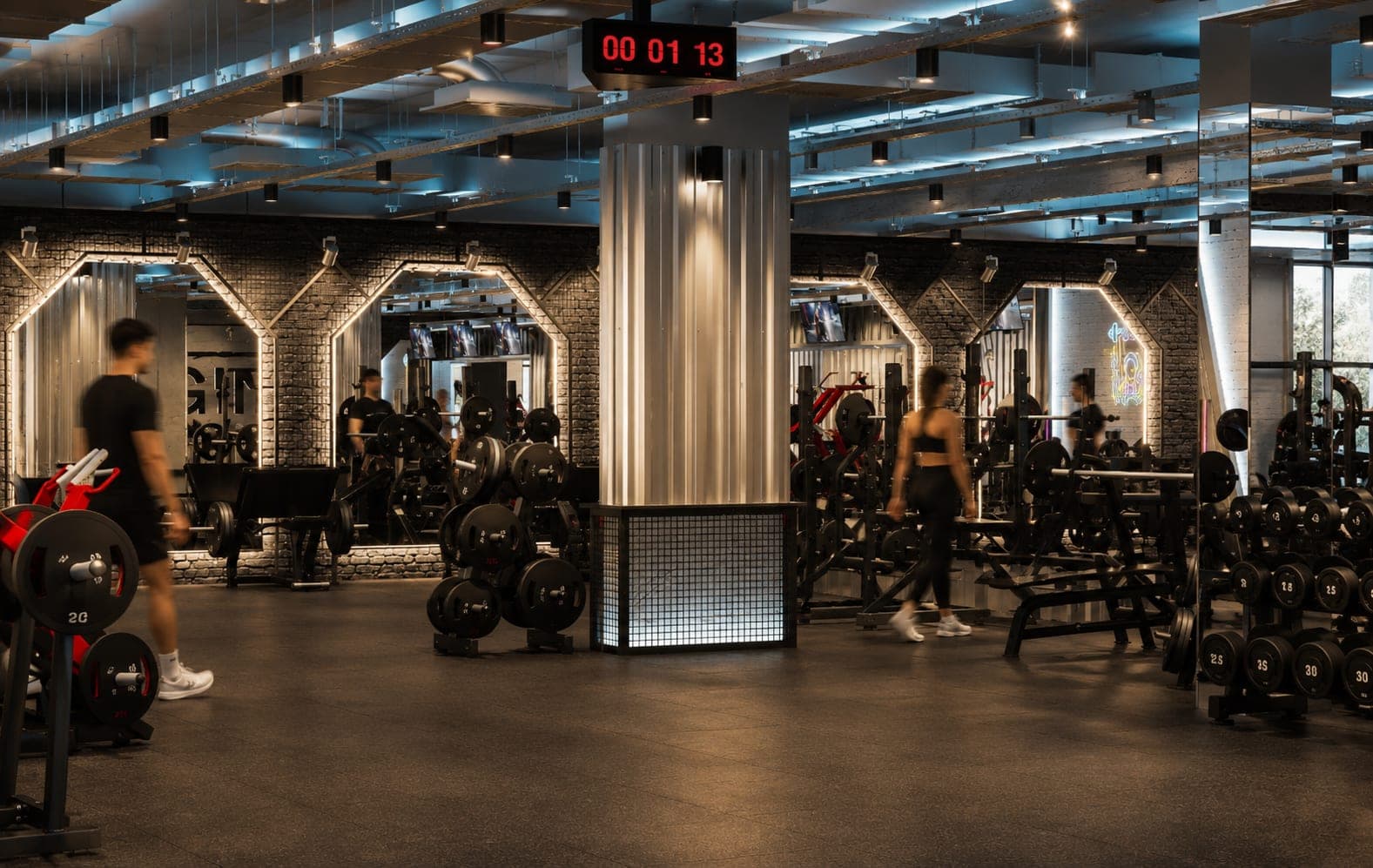 Panax Pro Gym — 105