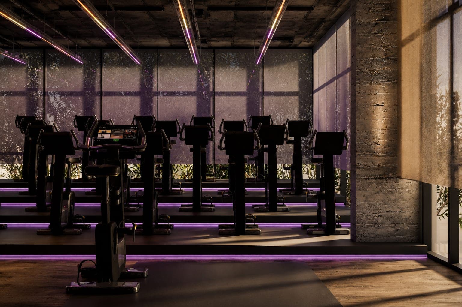 Panax Pro Gym — 109