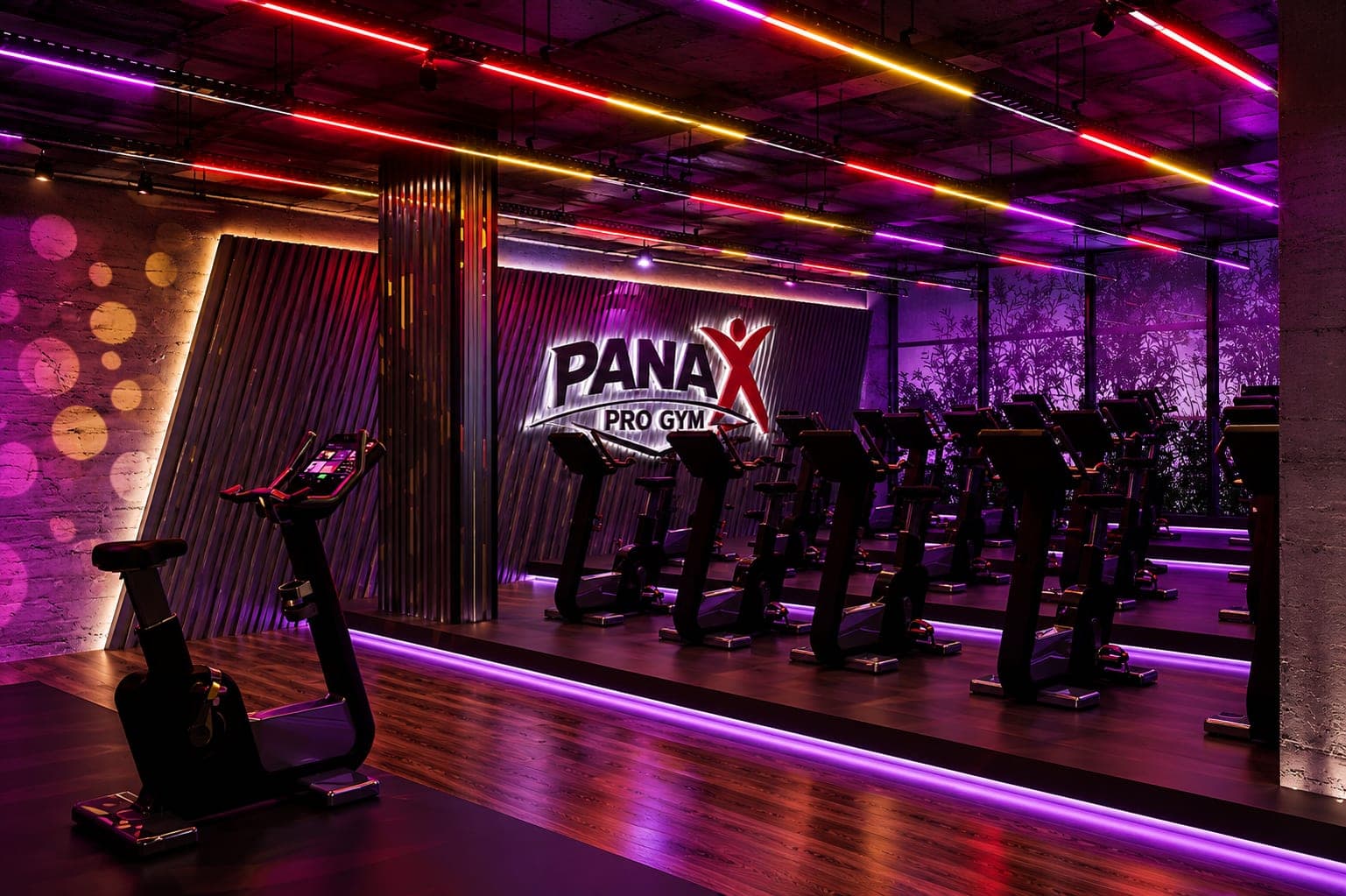 Panax Pro Gym — 111