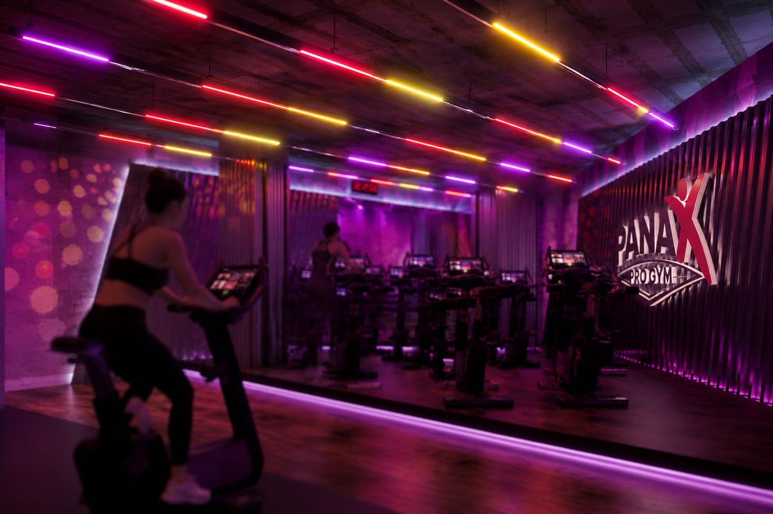 Panax Pro Gym — 112